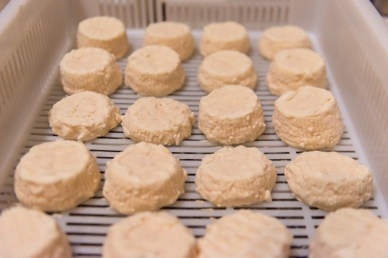 The Crete Senesi and Valdorcia: Pienza and Lunch at a Cheese Farm